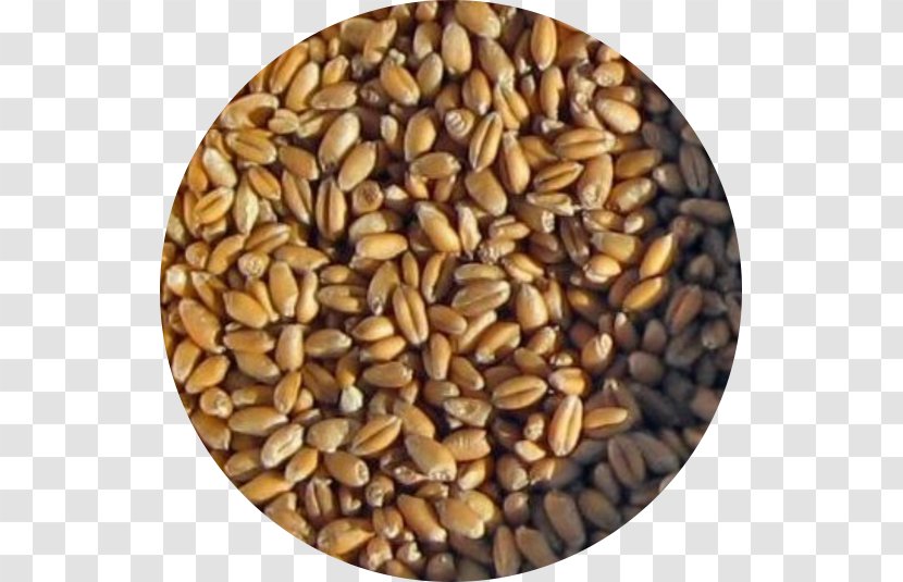 Cereal Germ Whole Grain Spelt Seed - Ingredient - Wheat Seeds Transparent PNG