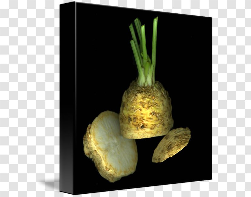 Vegetable Still Life Photography Transparent PNG