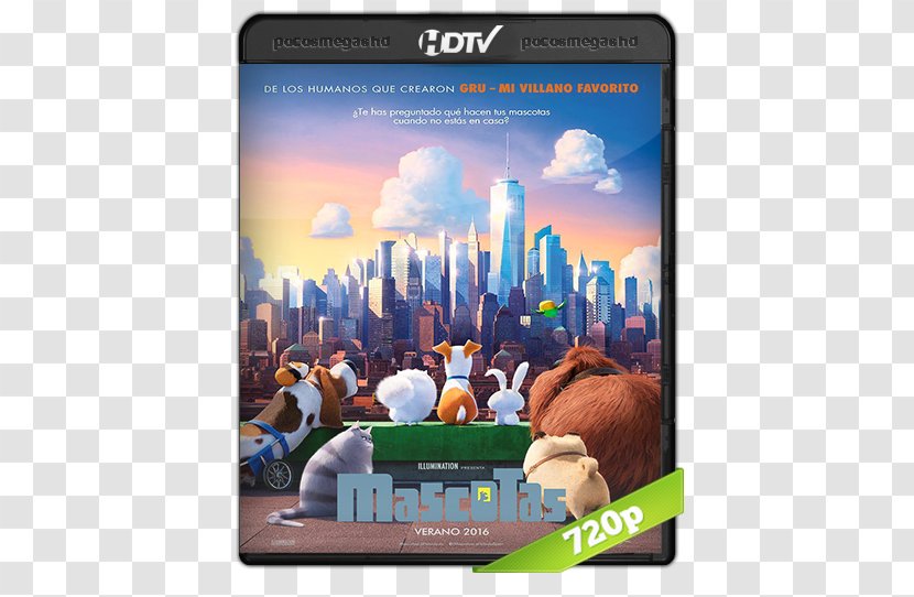 Animated Film Blu-ray Disc The Secret Life Of Pets Hollywood - Bluray - Despicable Me Transparent PNG