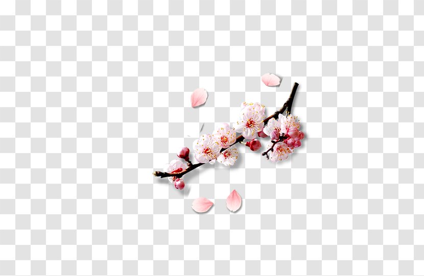 Petal Peach Blossom Computer File - Pink Lucky Element Transparent PNG