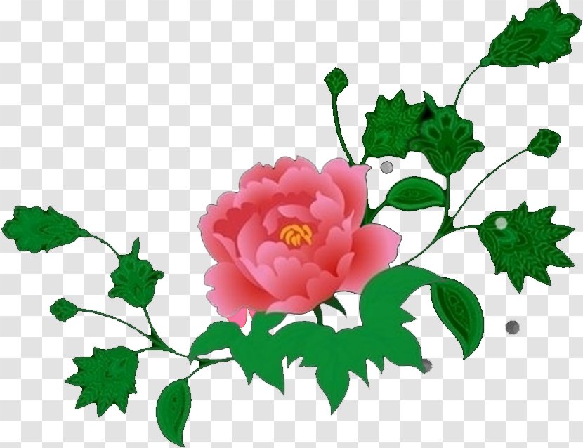 Garden Roses SWF Cut Flowers - Flora - Peony Transparent PNG