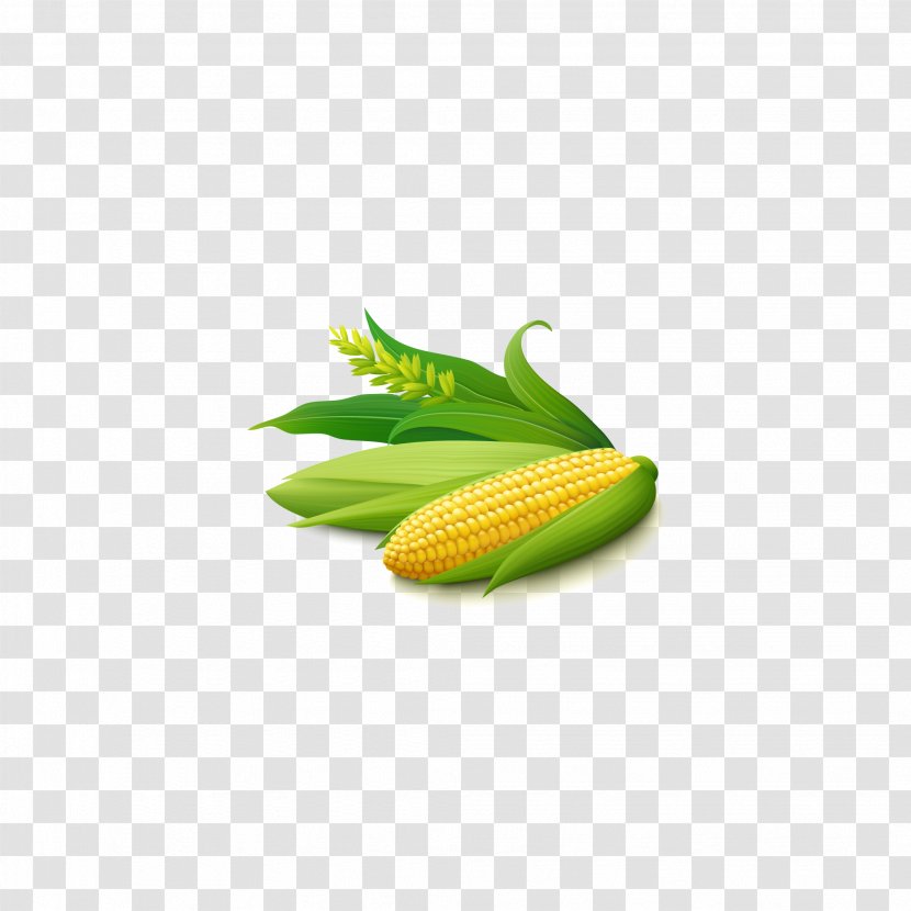 Corn On The Cob Maize Corncob Stock Illustration Transparent PNG