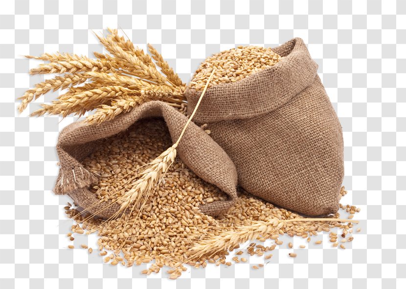 Cereal Rice Food Whole Grain Wheat - Commodity - Grains Transparent PNG