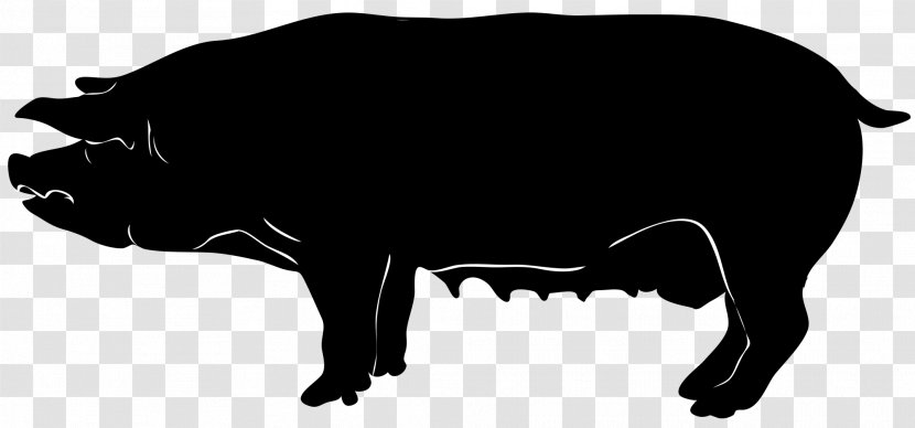 Domestic Pig Silhouette Clip Art - Free Content Transparent PNG