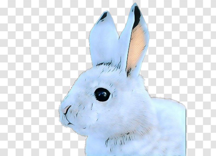 Cartoon Animals - Rabbits And Hares - Fur Wood Rabbit Transparent PNG