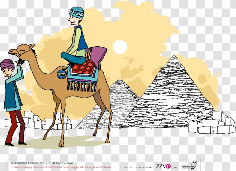 Camel Photography Illustration - Like Mammal - Pyramid Transparent PNG