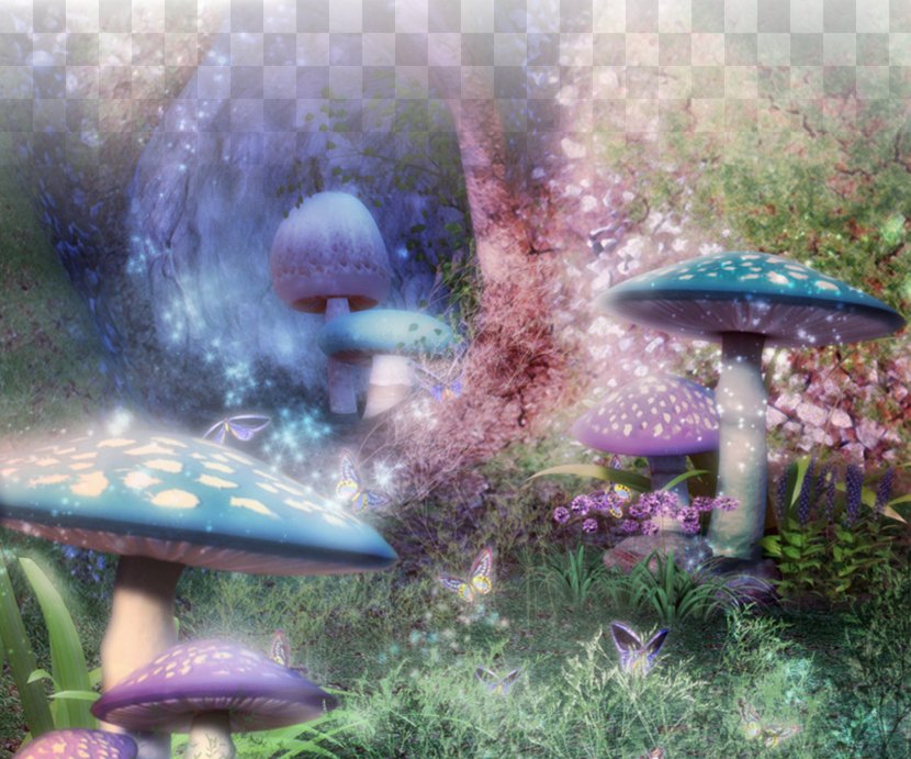 Forest Photography Photographic Studio Fantasy - Mushroom Transparent PNG