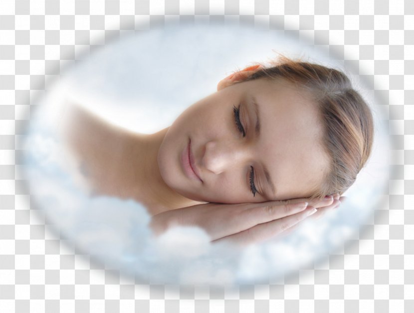 Insect Dream Dictionary Flea Sleep Transparent PNG