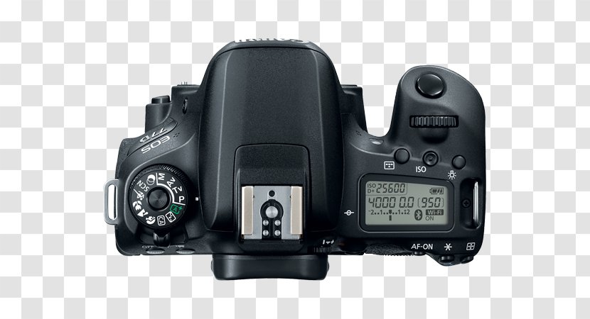 Canon EOS 77D EF-S 18–135mm Lens 800D EF Mount Digital SLR - Efs - Camera Transparent PNG