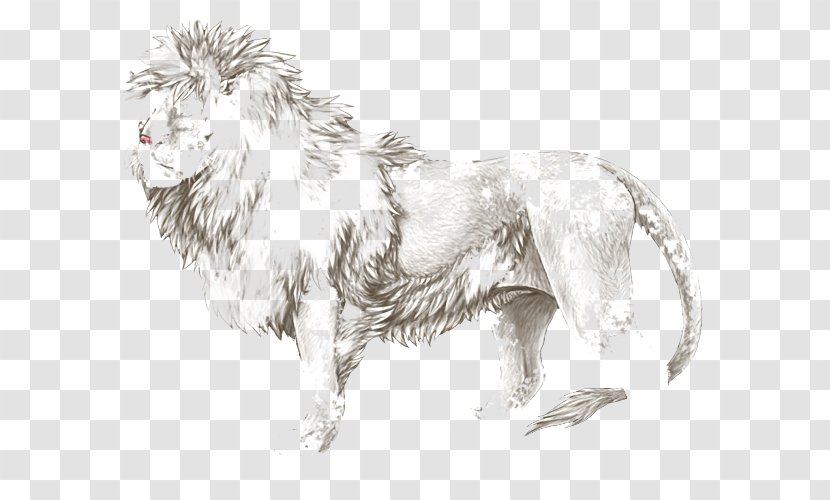 Dog Breed Cat Lion Paw - Small To Medium Sized Cats Transparent PNG