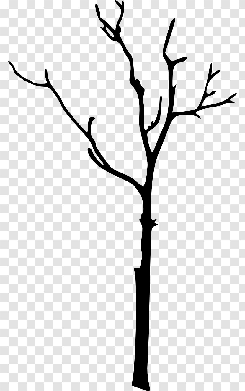 Silhouette Twig Clip Art - Tree Transparent PNG