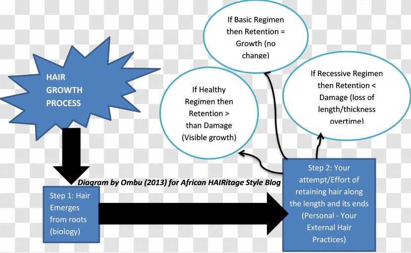 Information Reactive Oxygen Species K.H. ENTERPRISE (MIRI) SDN BHD Diagram Business - Link Labs - Growth Process Transparent PNG