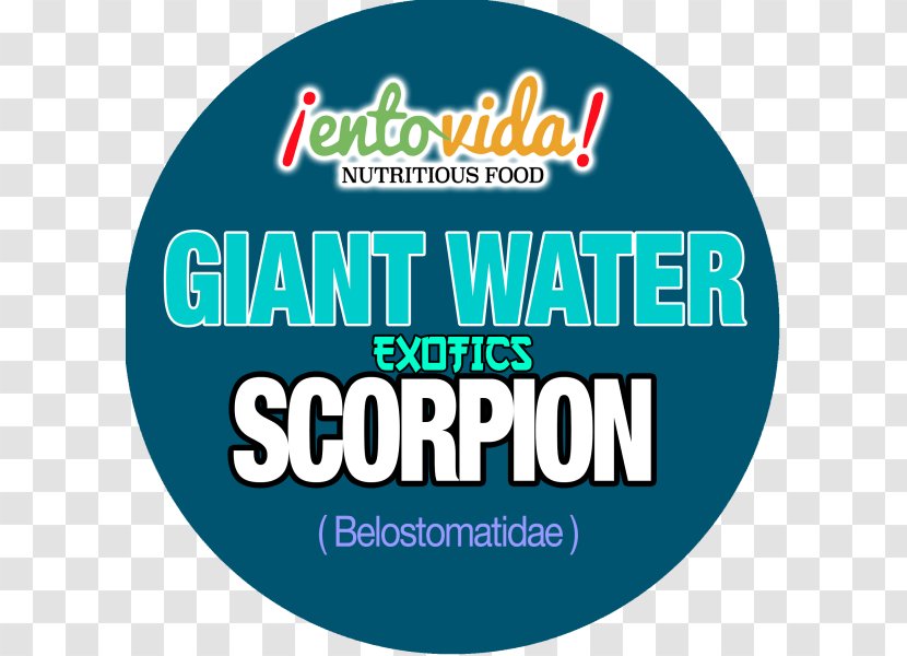 Scorpion Nepidae Logo Brand Font - Predation Transparent PNG