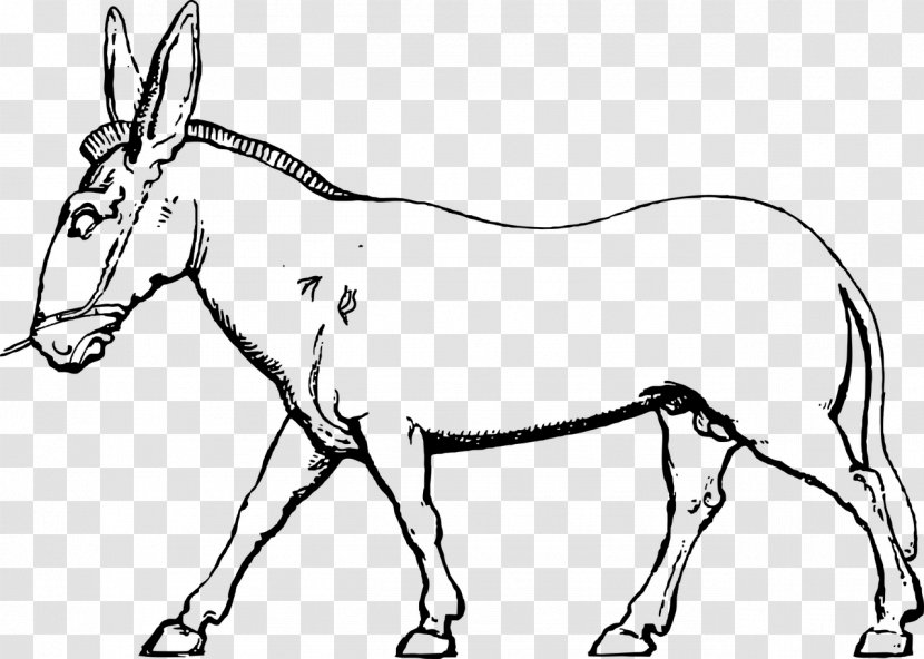 Mule Donkey Foal Horse Bridle - Pack Animal Transparent PNG