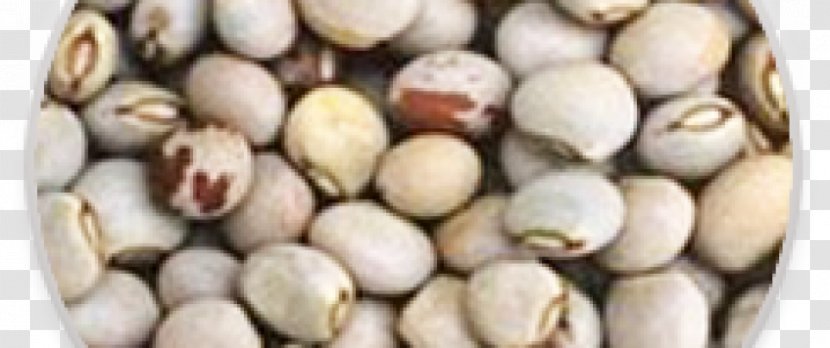 Pigeon Pea Soybean Pistachio Seed - Food Transparent PNG