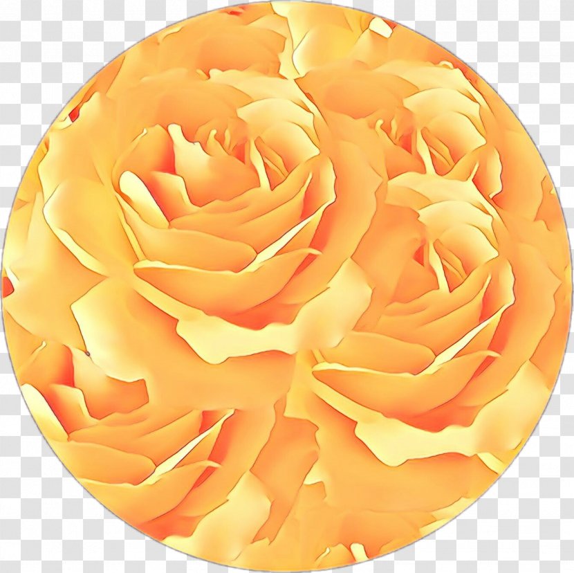 Flowers Background - Perennial Plant - Carving Transparent PNG