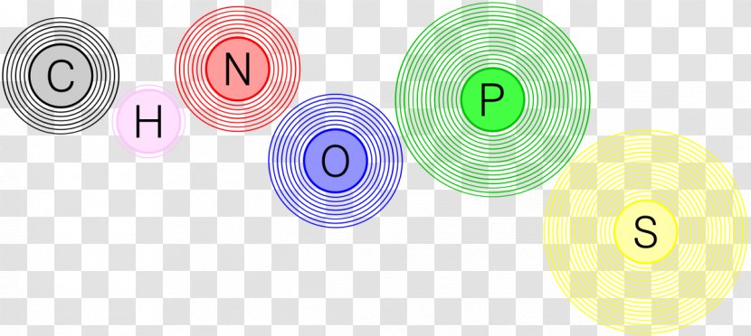 CHON Hydrogen Nitrogen Phosphorus Carbon - Covalent Bond - Popular Elements Transparent PNG