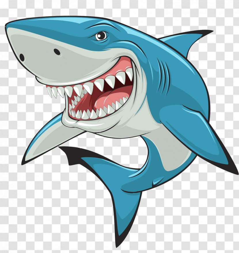 Great White Shark Royalty-free - Tiger - Fish Transparent PNG