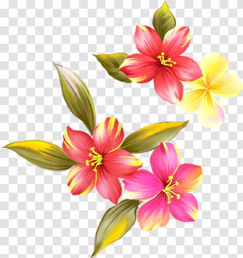 Flower Petal Floral Design - Garden Roses Transparent PNG