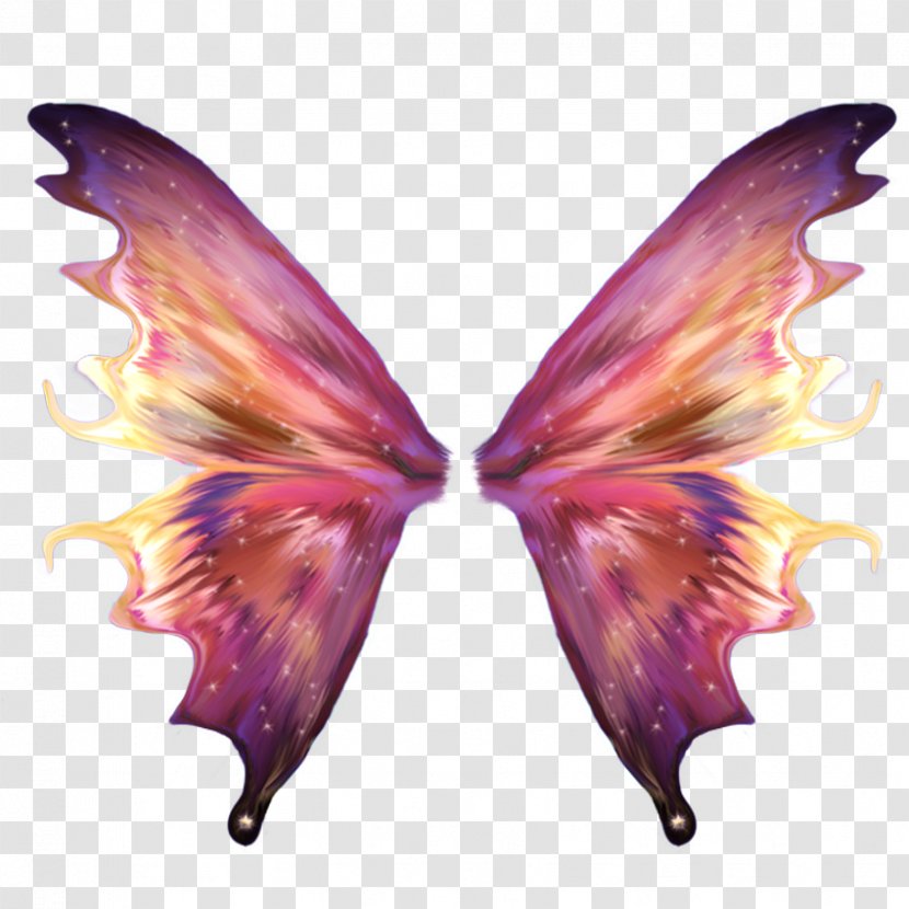 Fairy Desktop Wallpaper Wings - Pollinator Transparent PNG