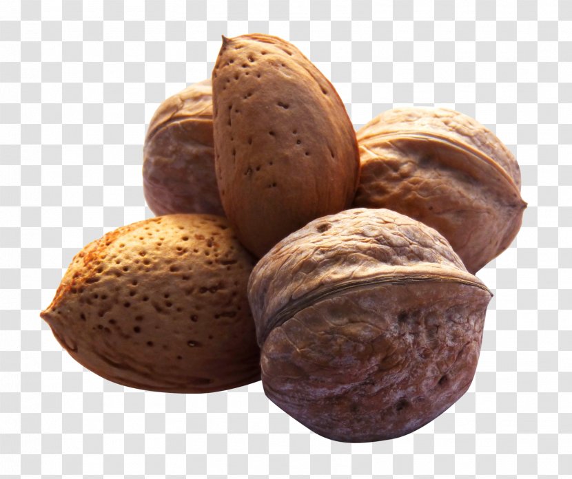 English Walnut - Nuts Seeds Transparent PNG