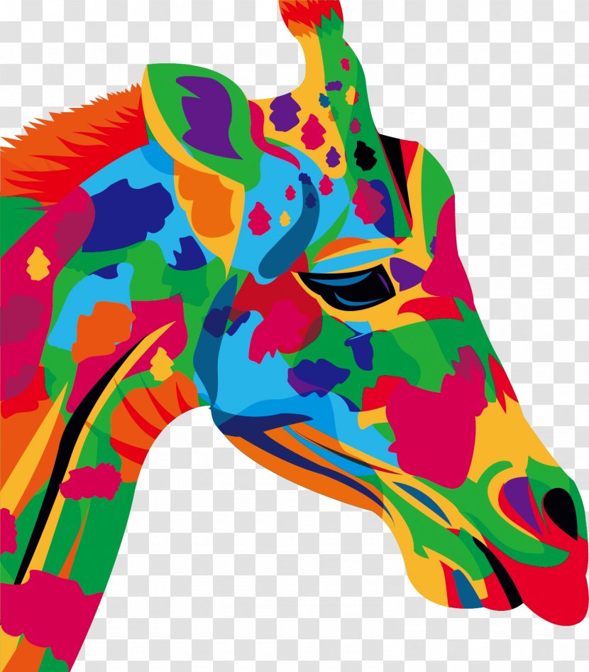Drawing Stock Photography Illustration - Art - Color Graffiti Horse Head Transparent PNG