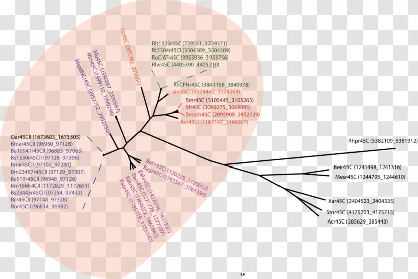 Brand Line Angle Diagram - Text Transparent PNG