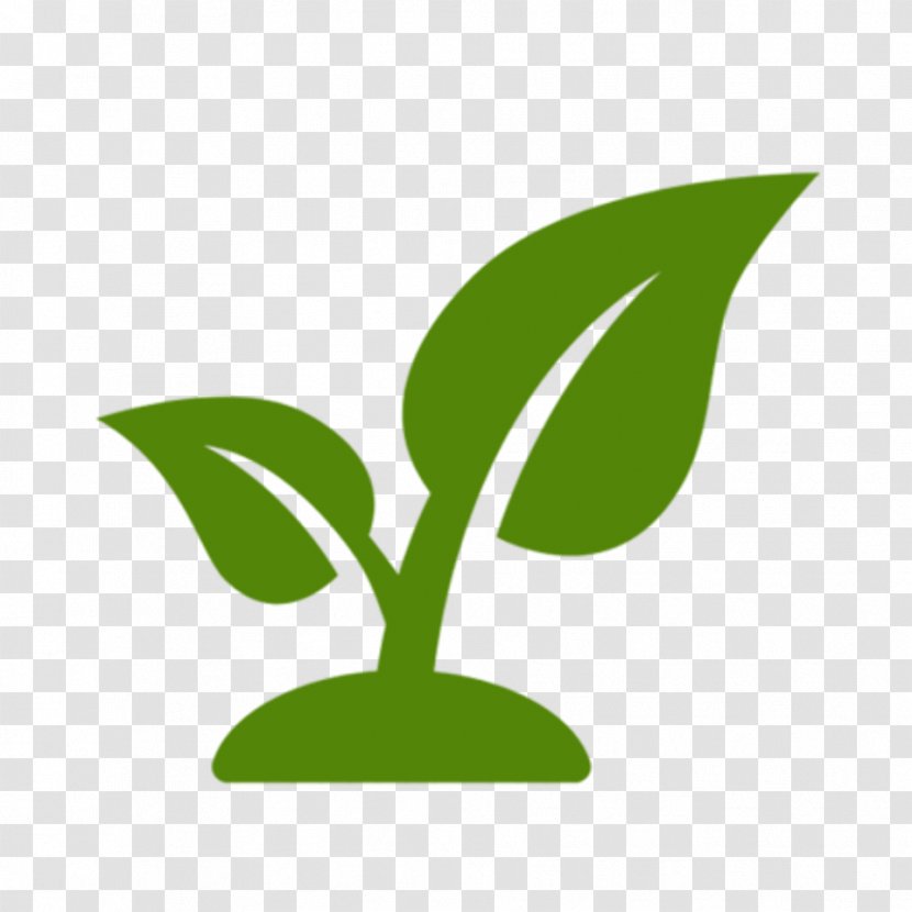 Leaf Garden Flower Plant Крупномеры - Stem Transparent PNG