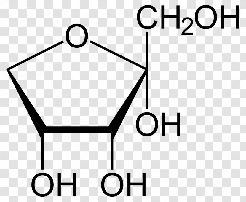 Fructose Anomer Glucose Monosaccharide Galactose - Rectangle - Projection Transparent PNG