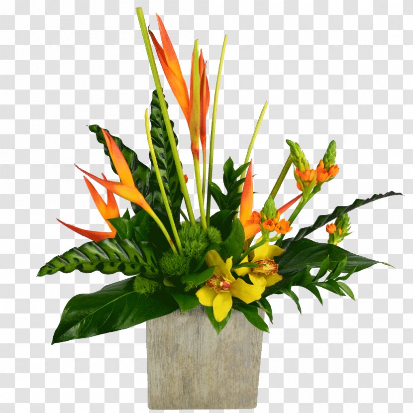 Cut Flowers Floristry Floral Design Flower Bouquet - Flowering Plant - Tropical Transparent PNG