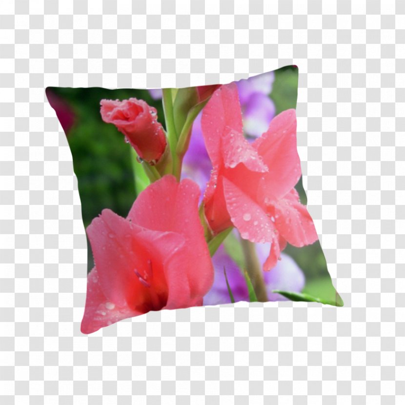 Gladiolus Throw Pillows Cushion Tulip - Magenta Transparent PNG