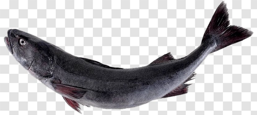 Sablefish Salmon Pacific Cod - Jaw - Albacore Sashimi Transparent PNG