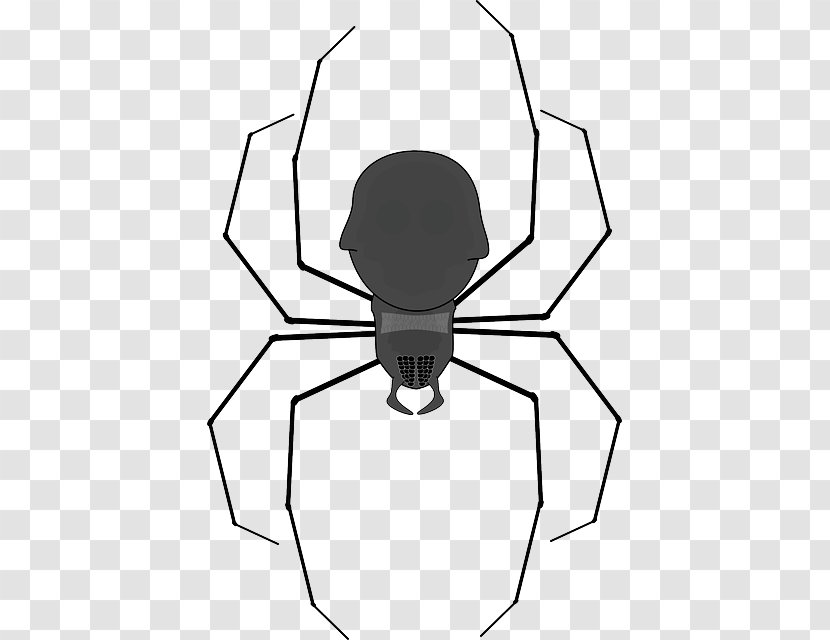 Spider Web Clip Art - Monochrome Photography - Insect Transparent PNG