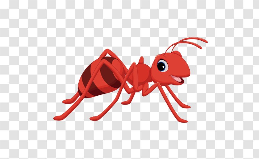 Insect Ant Pest Red Animal Figure - Membranewinged Transparent PNG