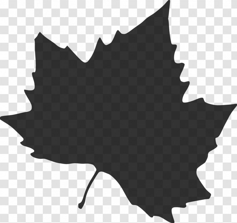 Maple Leaf Clip Art Drawing - Holly Transparent PNG