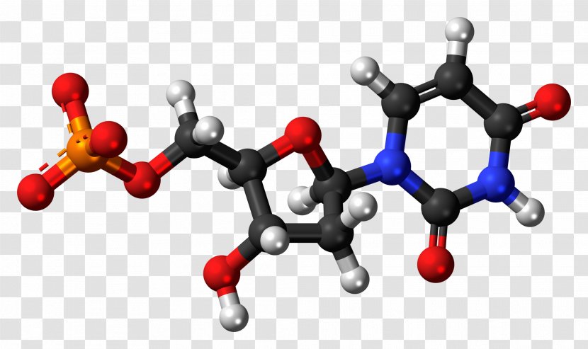 Adenosine Monophosphate Triphosphate Adenine Guanosine - Flower - DNA Transparent PNG