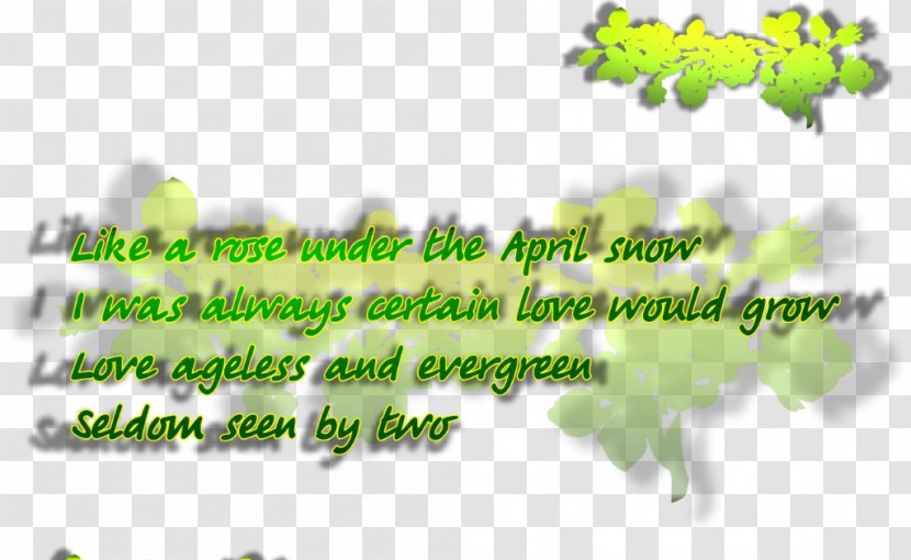 Tree Green Line Font - Grass Transparent PNG