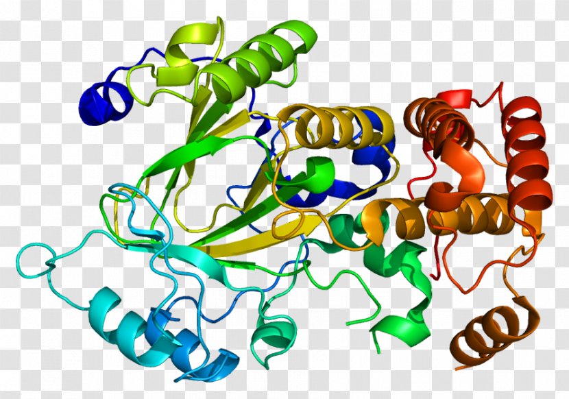 KDM2A Demethylase Protein Alpha-ketoglutarate-dependent Hydroxylases Histone - Frame - Watercolor Transparent PNG
