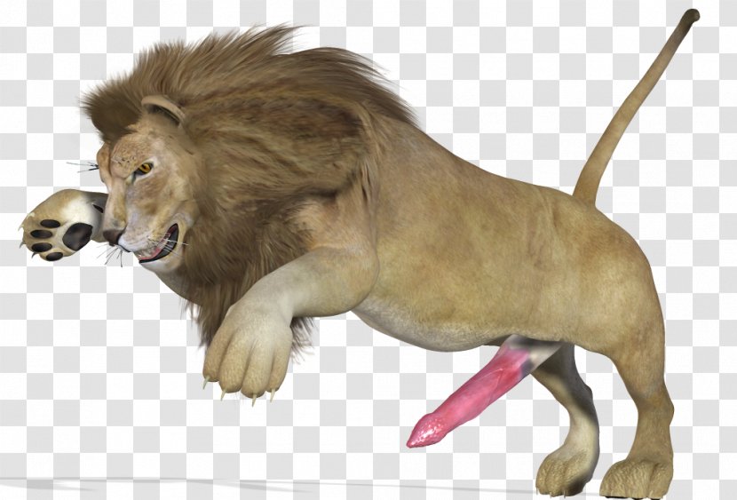 Lion Big Cat Animal - Like Mammal Transparent PNG