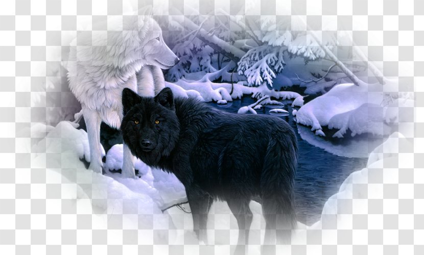 Siberian Husky Arctic Wolf Black Desktop Wallpaper Pack - Fur - Gray Transparent PNG