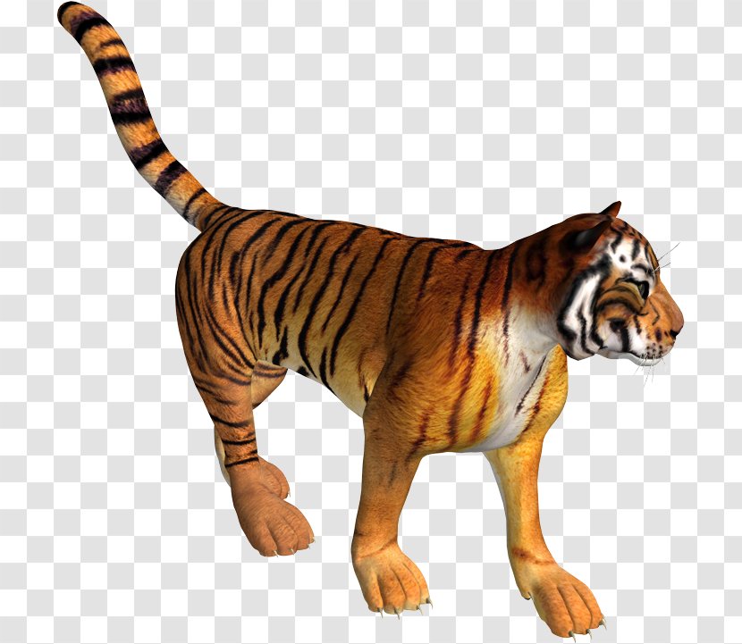 Tiger Lion Leopard Transparent PNG