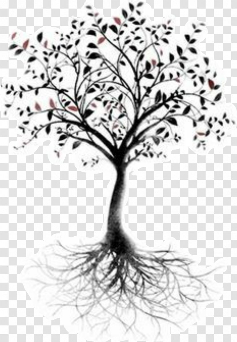 Tree Of Life Root Tattoo Branch Transparent PNG