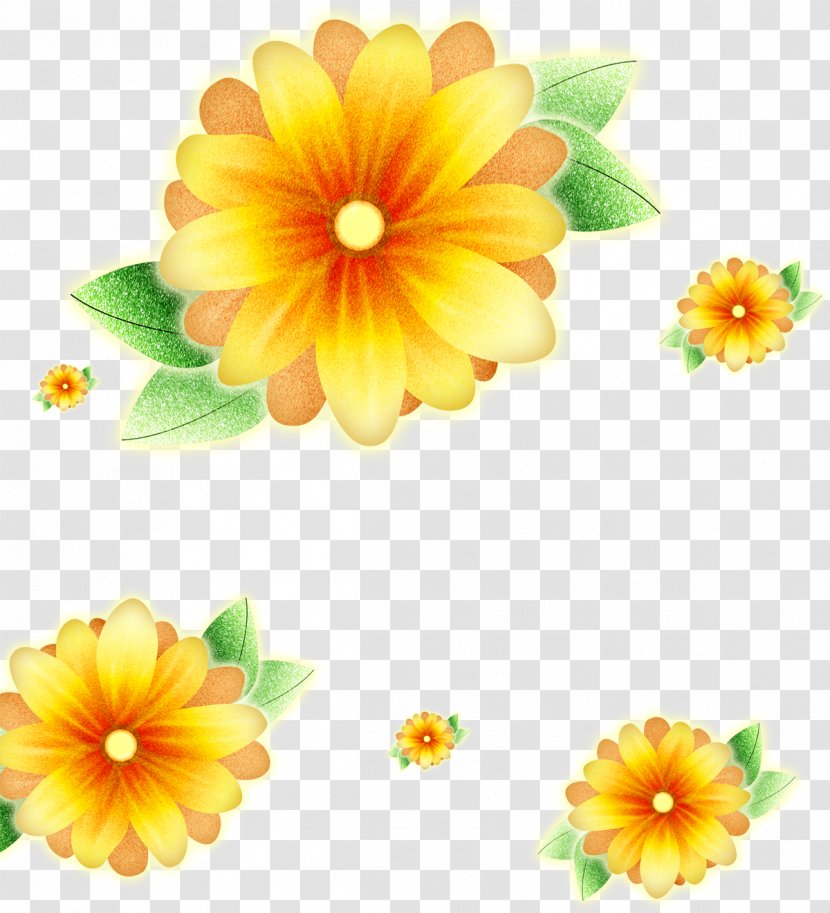 Common Sunflower Poster - Taro Flower Transparent PNG