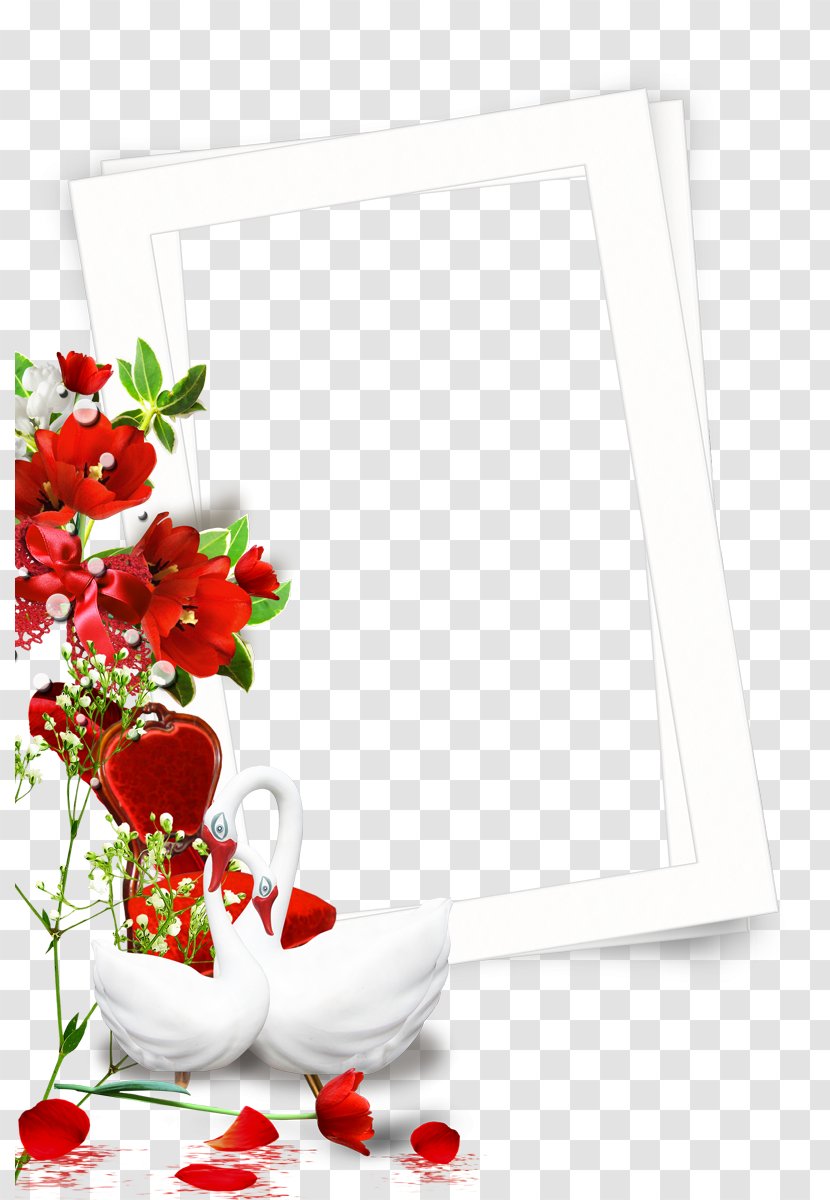 Cygnini Red Floral Design - Plant - Swan Photo Frame Transparent PNG