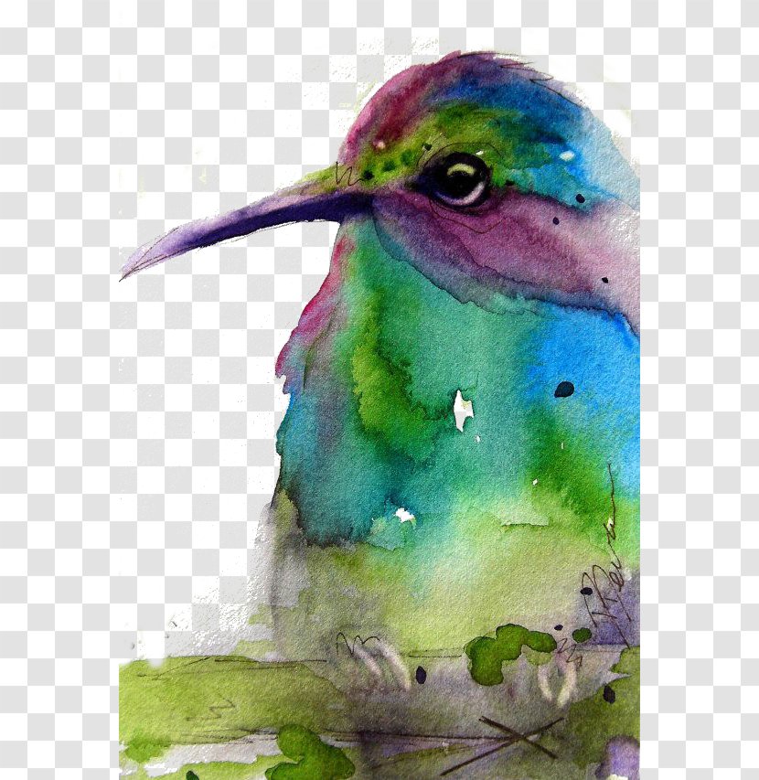 Hummingbird Green Purple - Organism - Birds Transparent PNG
