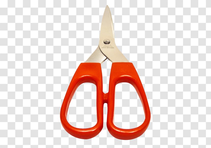 Desktop Wallpaper - Peeler - Orange Transparent PNG