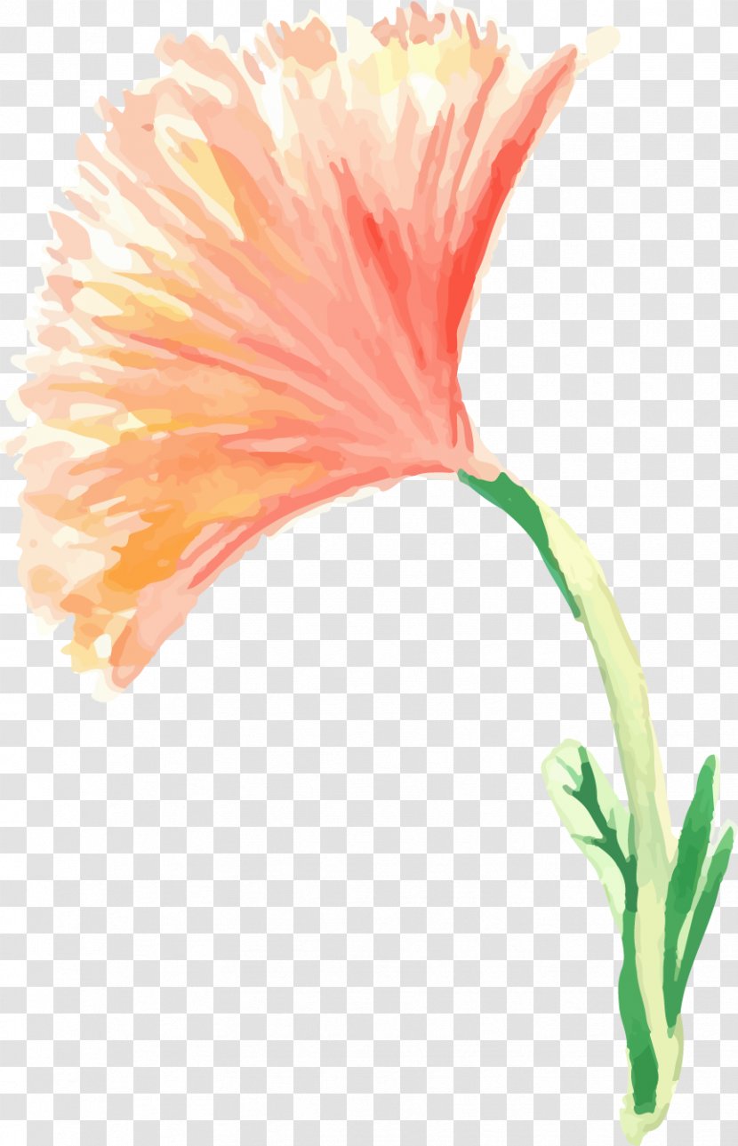 Painting Flowers Creative Watercolor - Seed Plant - Painted Floral Decoration Transparent PNG