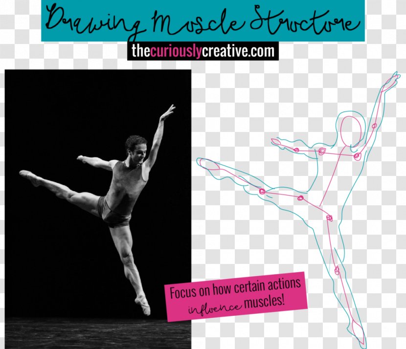 Dance Femininity Female Man Ballet - Male - Cold Store Menu Transparent PNG