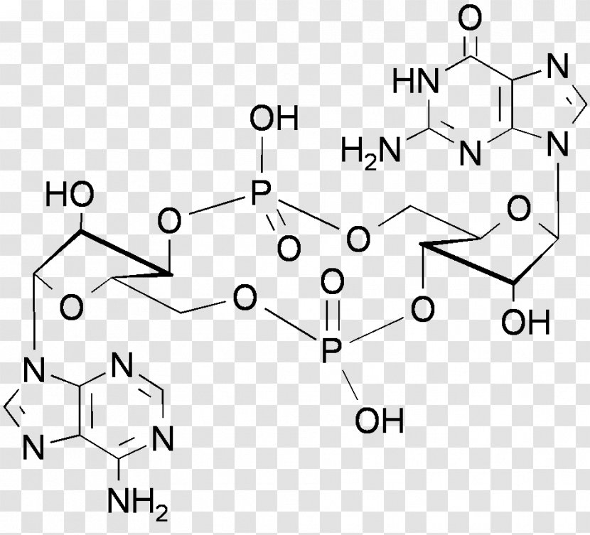 Cyclic Adenosine Monophosphate Guanosine - Gmp Transparent PNG