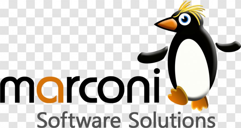 Penguin Logo Computer Software Bird Font Transparent PNG